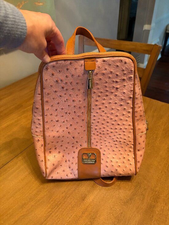 NWOT Rare Valentina Italian Ostrich Leather Backpack/Handle Bag. main image 11